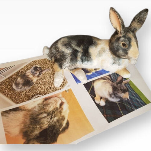 Hasenurne Hasenmutter Kaninchenurne bemalt nach Foto