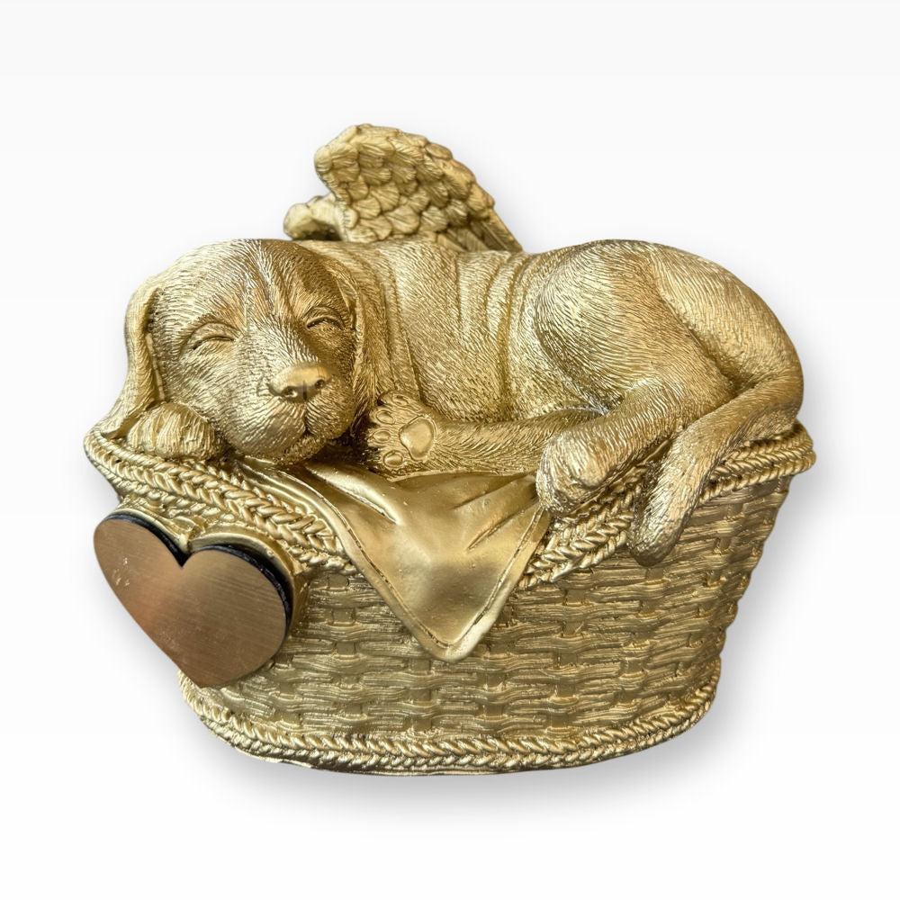 Monello® Hundeurne Hund in Korb Gold B-Ware