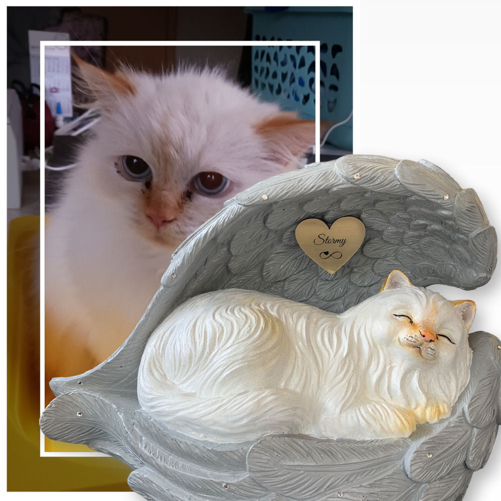 Monello® Katze in Engelsflügel Langhaar bemalt nach Fotovorlage