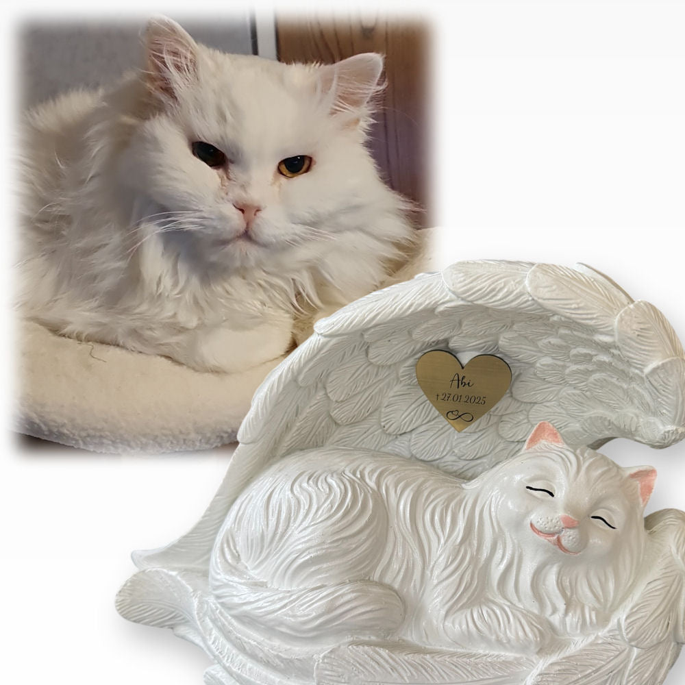 Monello® Katze in Engelsflügel Langhaar bemalt nach Fotovorlage