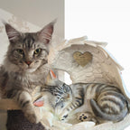 Monello® Katze in Engelsflügel bemalt nach Fotovorlage