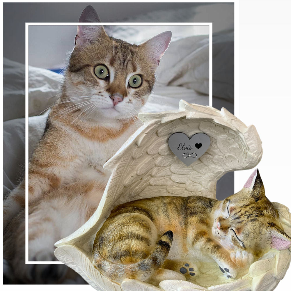 Monello® Katze in Engelsflügel bemalt nach Fotovorlage