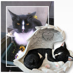 Monello® Katze in Engelsflügel bemalt nach Fotovorlage