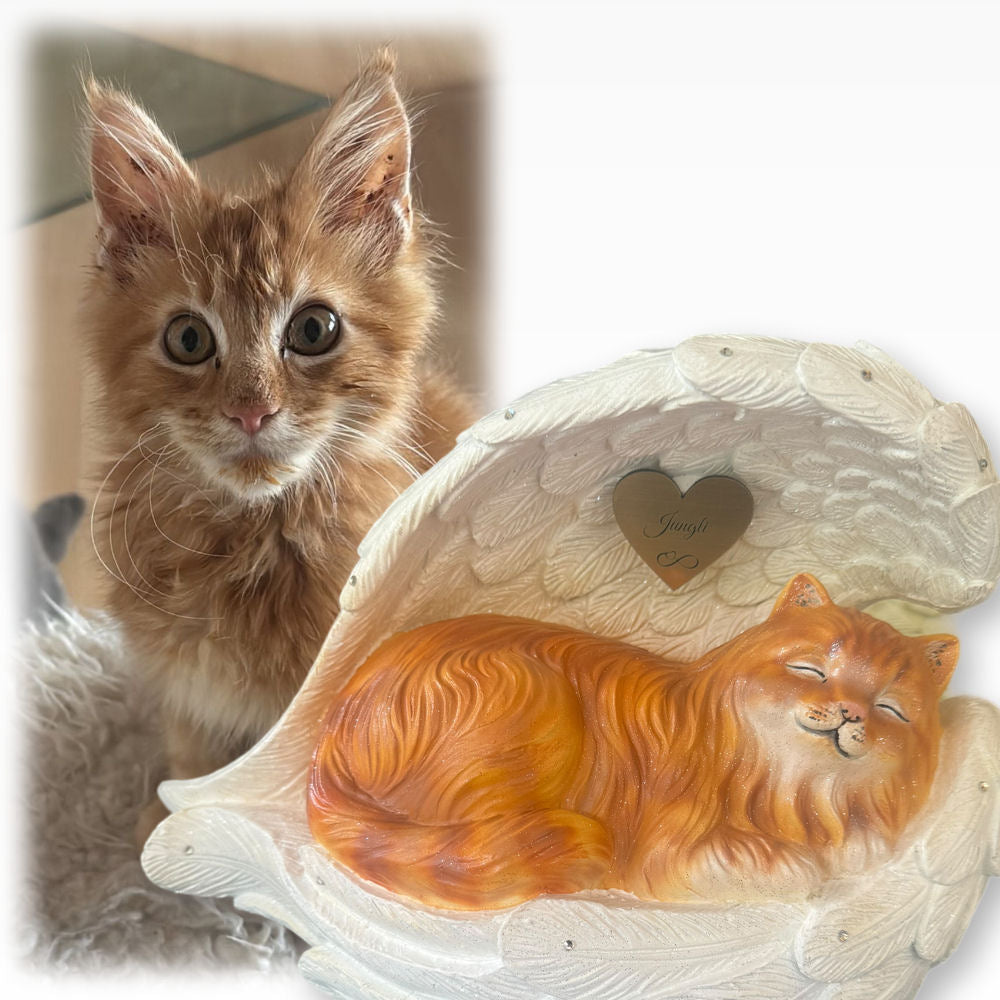 Monello® Katze in Engelsflügel Langhaar bemalt nach Fotovorlage