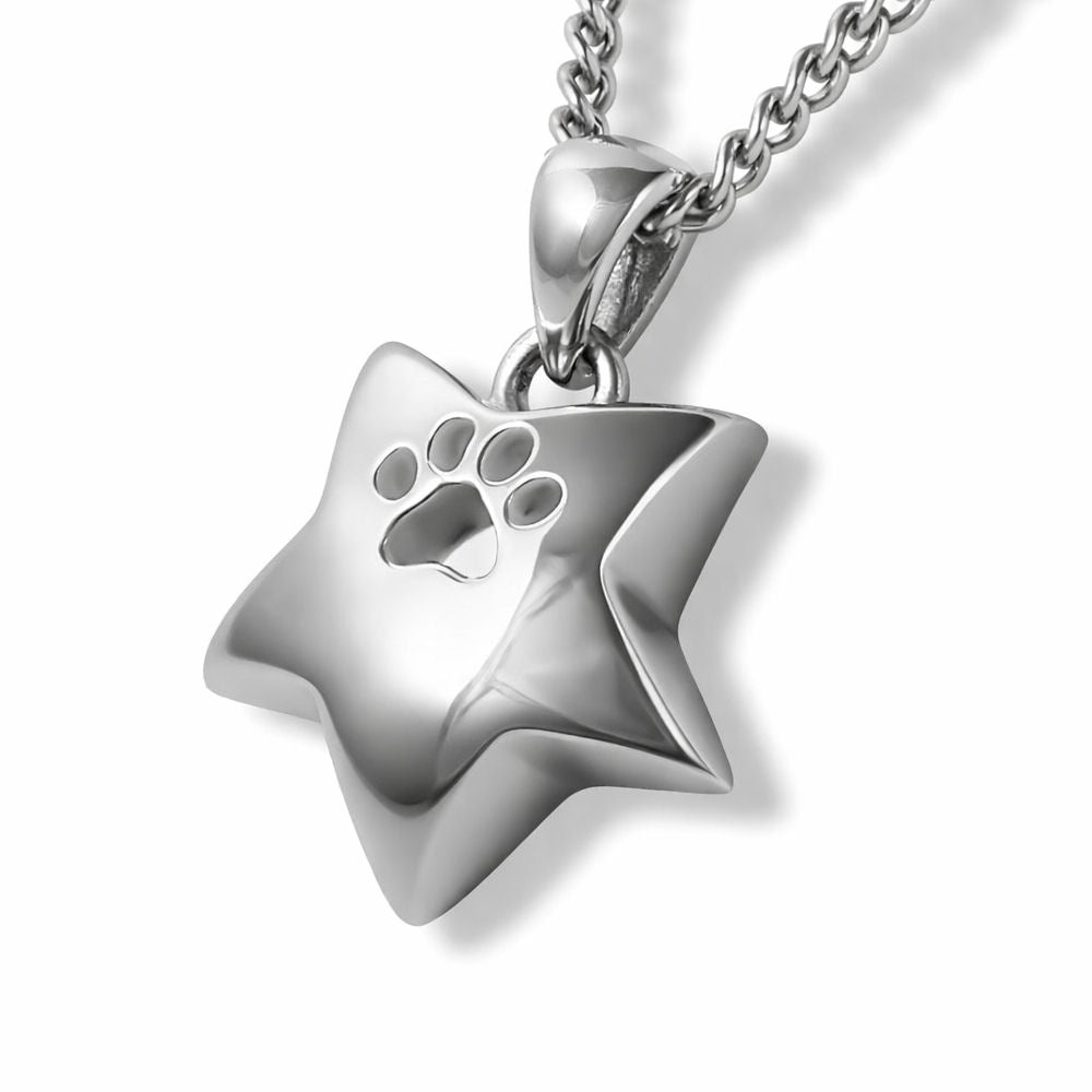 Ascheschmuck Anhänger Stern Pfote 925er Silber