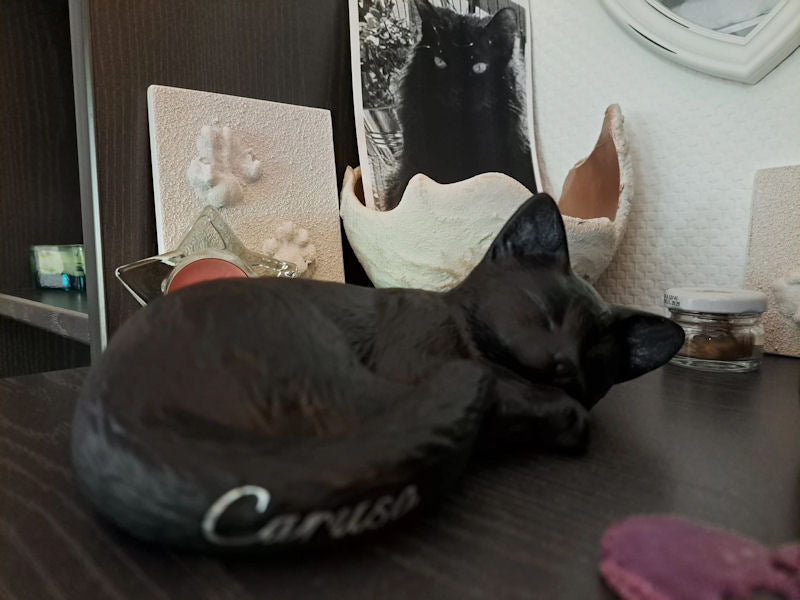 Kundenfoto zu einer Monello Bewertung