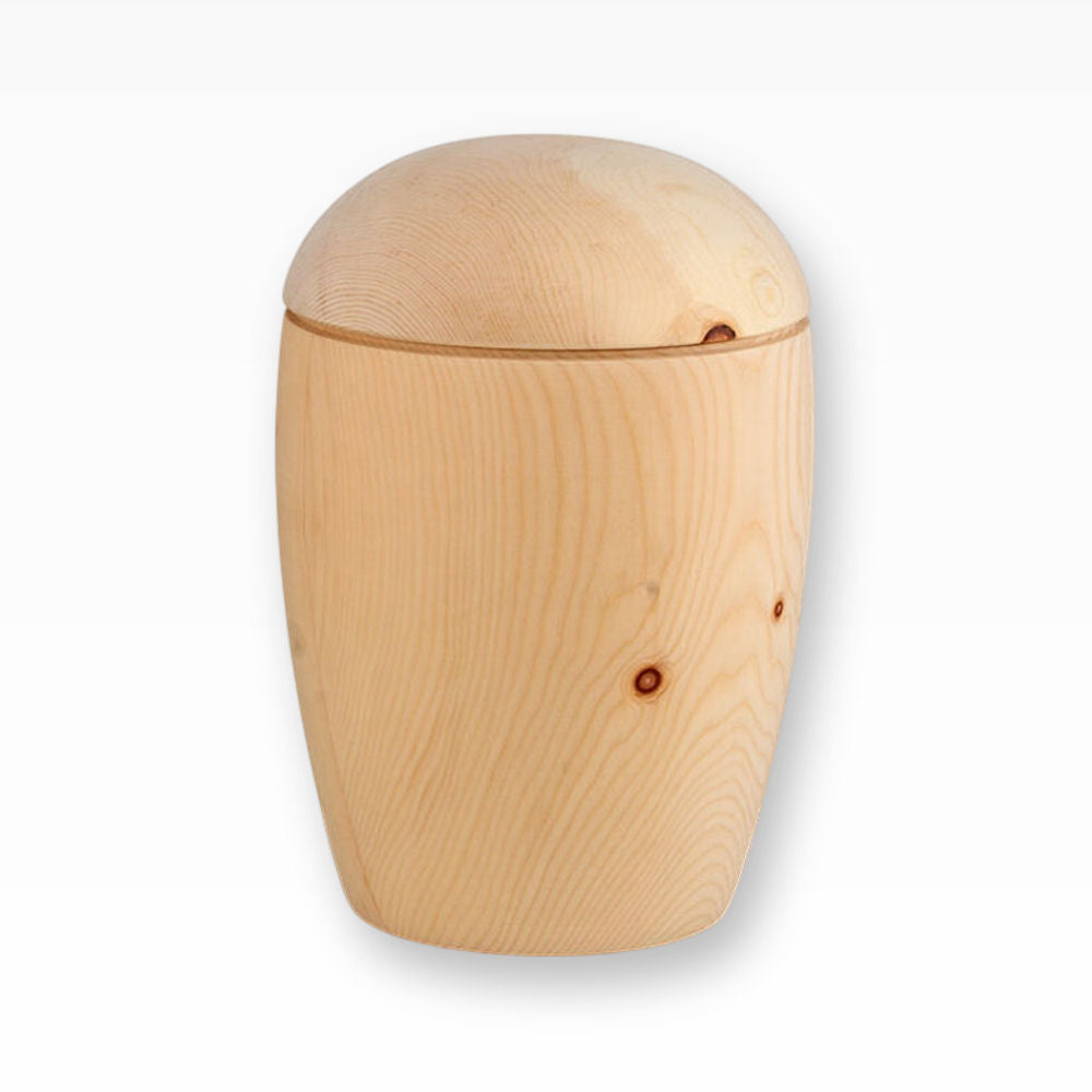 Holzurne Humanurne aus Zierbenholz