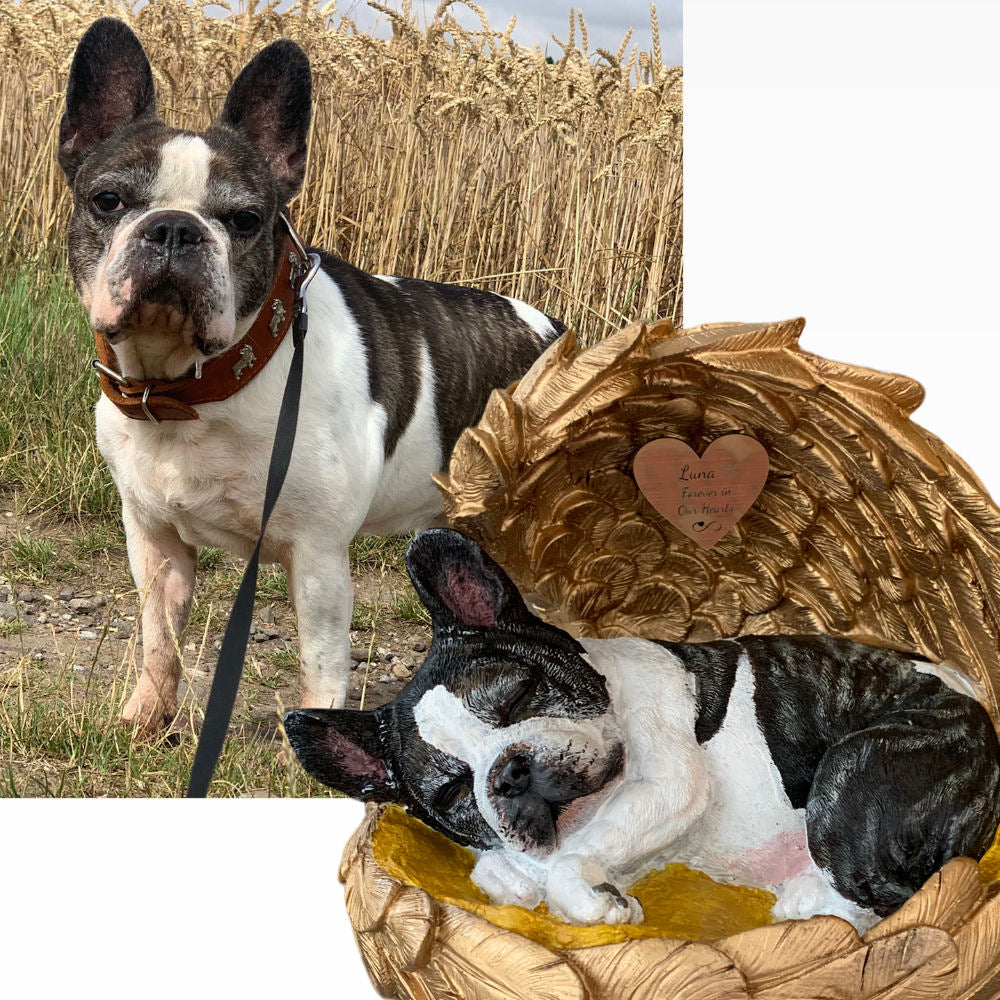 Monello® Hundeurne Französische Bulldogge bemalt nach Foto