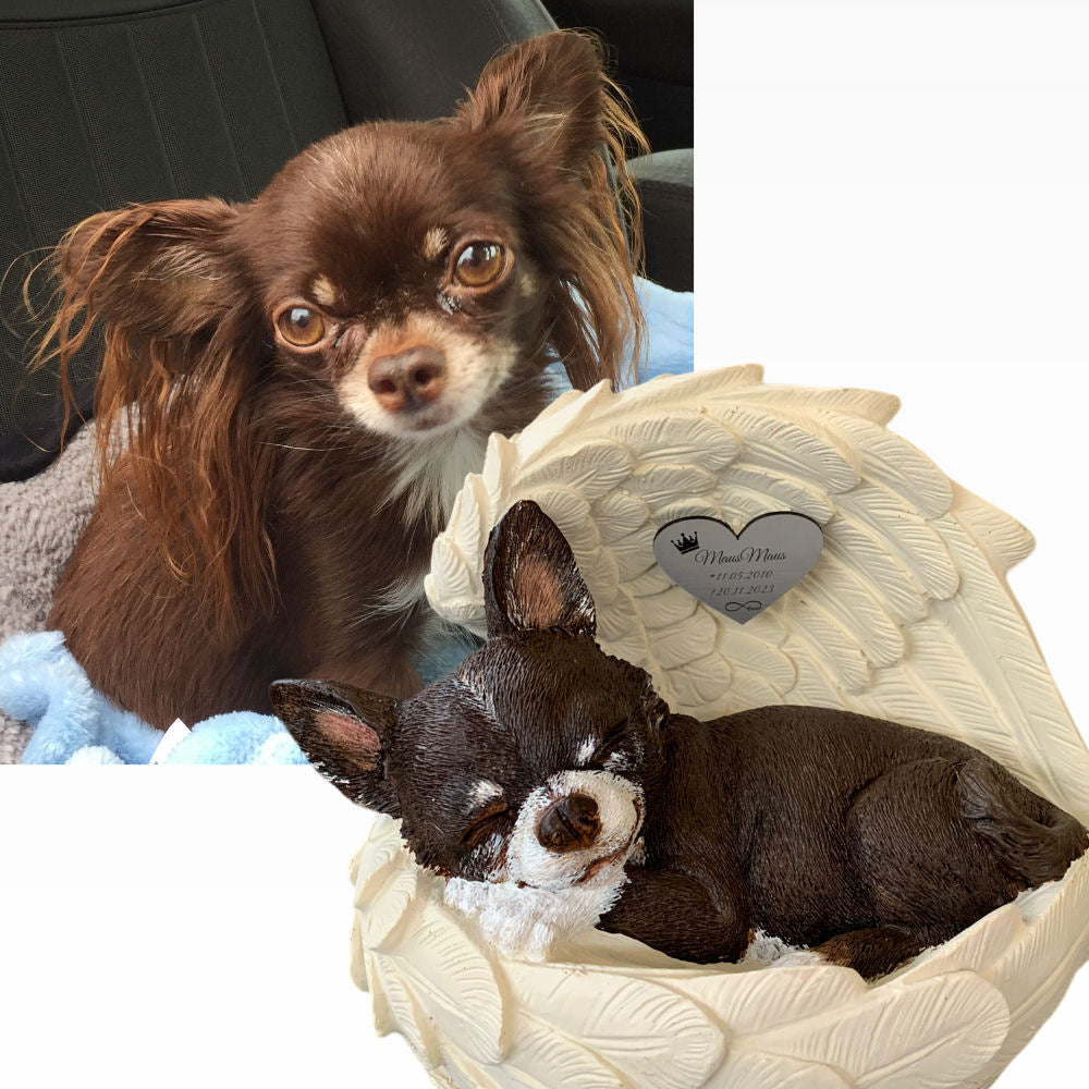 Monello® Portrait Chihuahua in Engelsflügel bemalt nach Fotovorlage