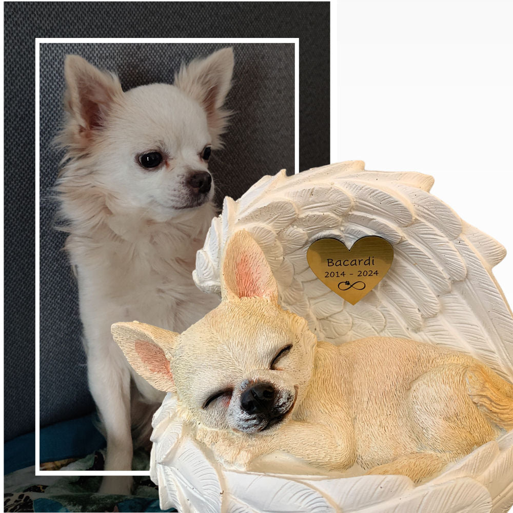 Monello® Portrait Chihuahua in Engelsflügel bemalt nach Fotovorlage