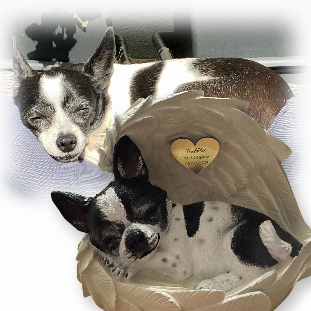 Monello® Portrait Chihuahua in Engelsflügel bemalt nach Fotovorlage