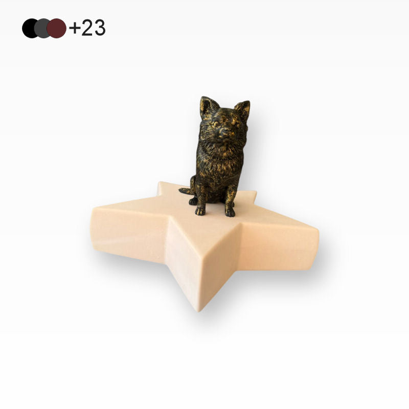 Monello Hundeurnen Chihuahua auf Sternurne