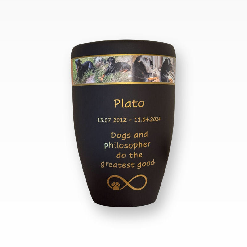 Heiso Monumenti Tierurne mit Fotoband