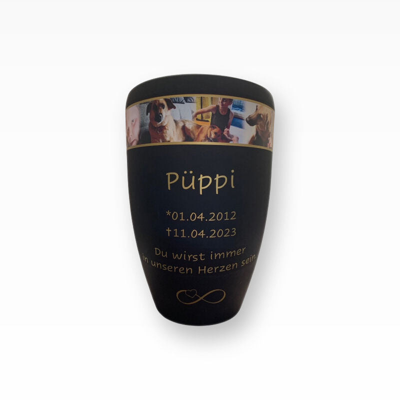 Heiso Monumenti Tierurne mit Fotoband