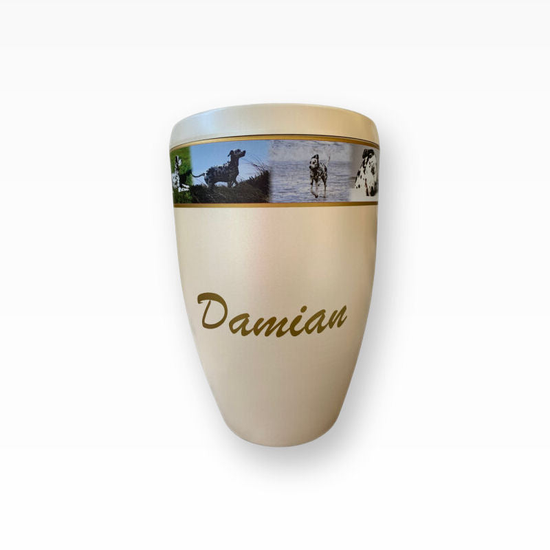 Heiso Monumenti Tierurne mit Fotoband