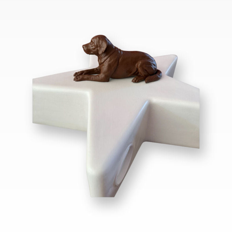 Monello Hundeurne Labrador wacht auf seinem Stern