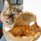 Monello® Katze in Engelsflügel bemalt nach Fotovorlage