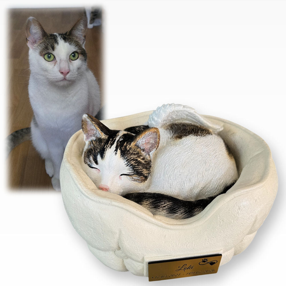 Monello® Tierurne Schlafende Katze bemalt nach Fotovorlage