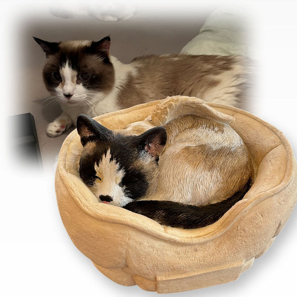 Monello® Tierurne Schlafende Katze bemalt nach Fotovorlage