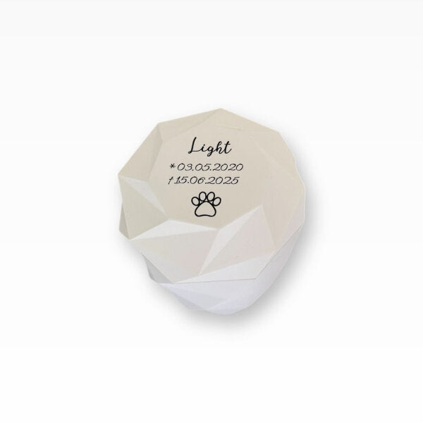 Heiso Tierurne Spiralurne