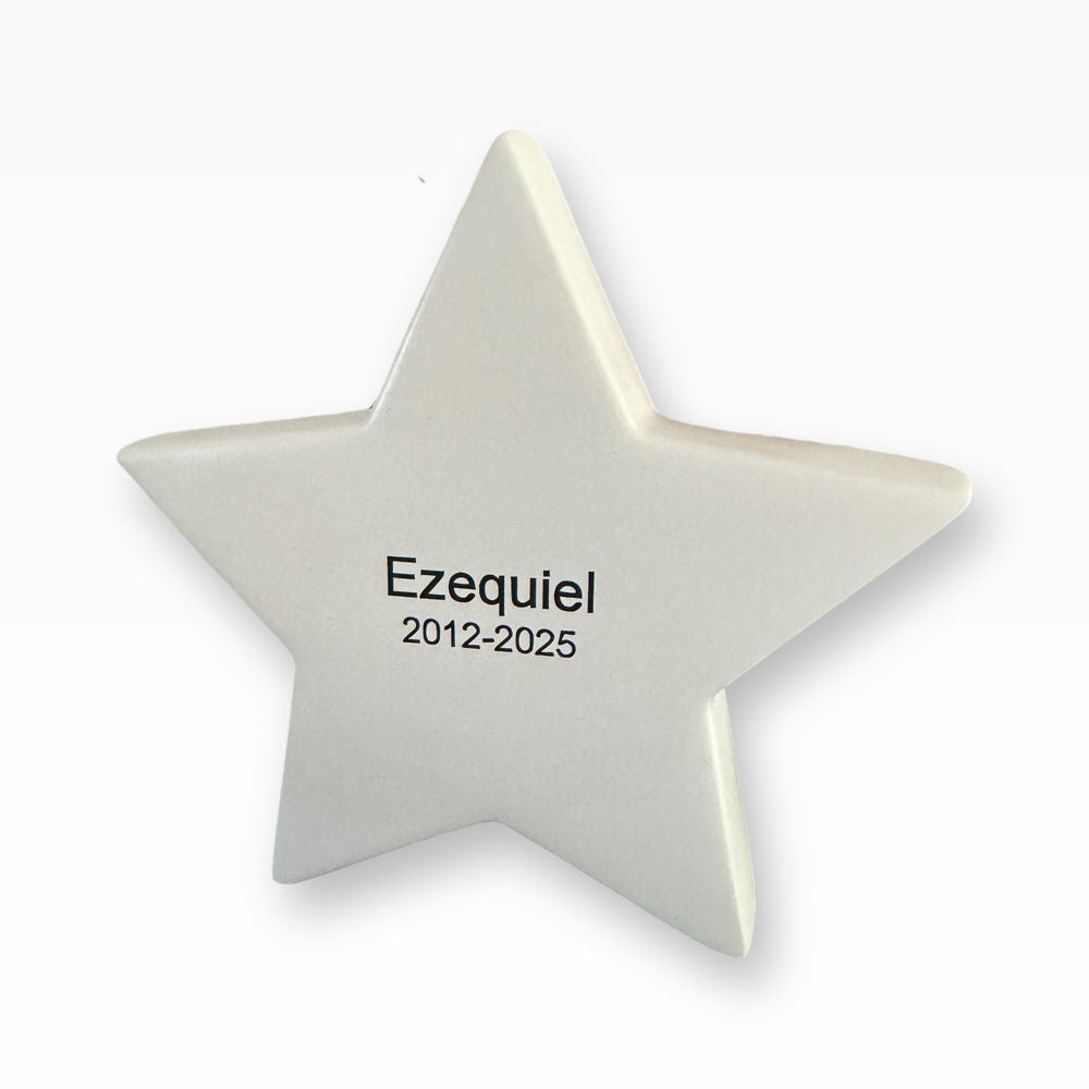 Urne Tiere Stern aus Keramik Urne für Zuhause