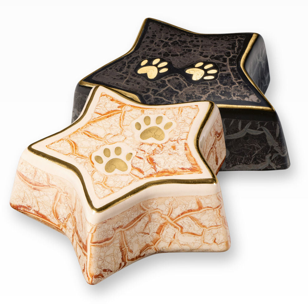 Heiso Tierurne Stern Modern