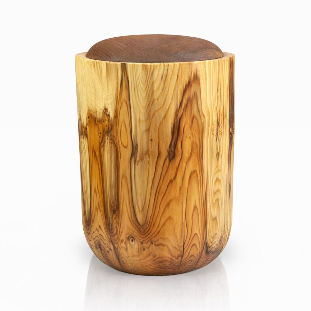 Humanurne für die Beisetzung Eibe Massiv