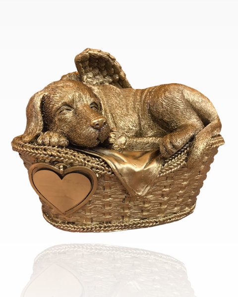 Monello Hundeurne Hund in Korb Gold Mit Gravur