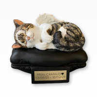 Monello Katzenurne Portraiturne Katze auf Kissen liegend