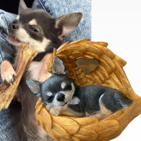 Monello Portraiturne Chihuahua in Engelsfl&uuml;gel