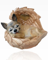 Monello Portraiturne Chihuahua in Engelsflügel