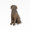 Erinnerungsfigur Hund sitzend Braun